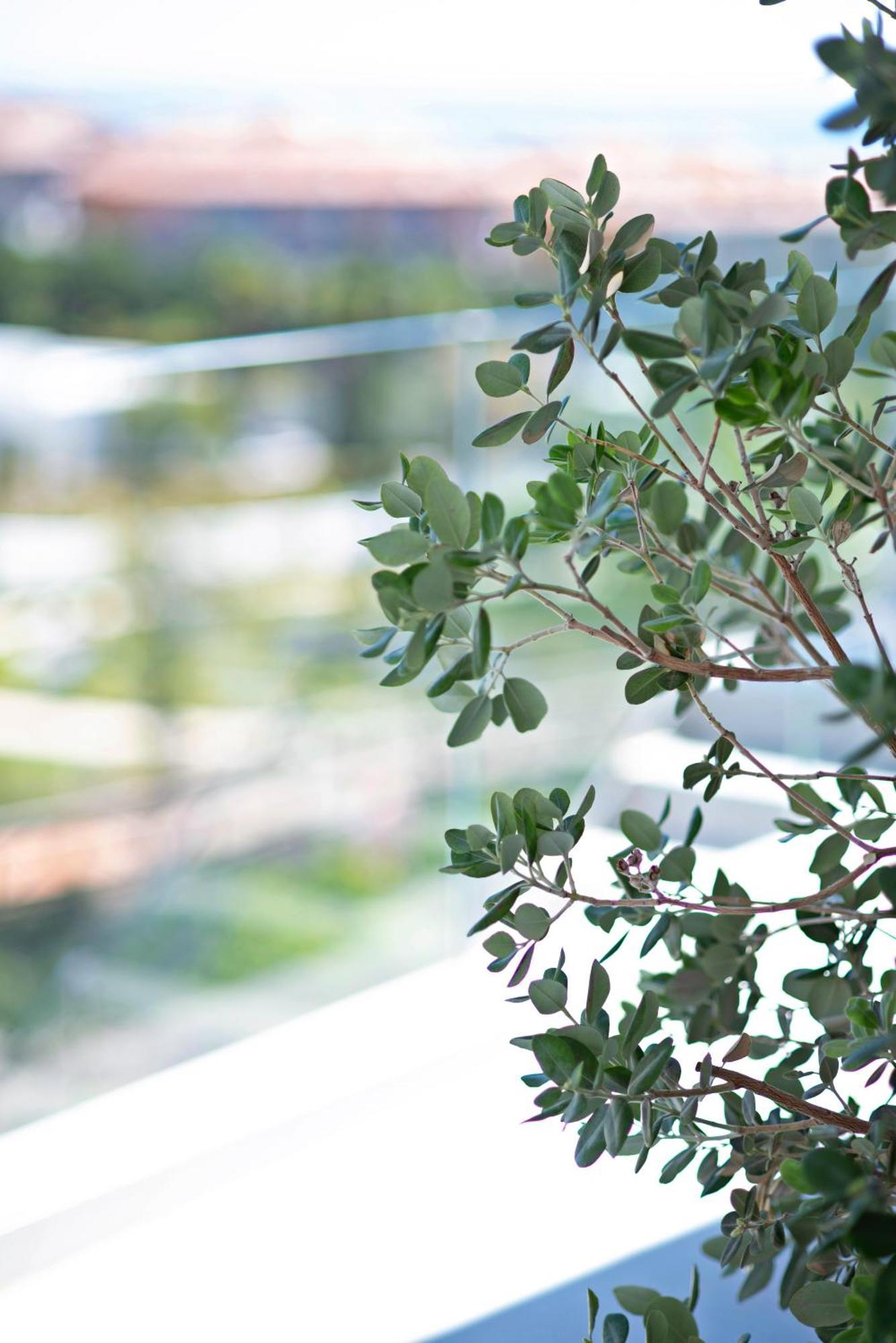 Lägenhet Mara's Higueron West - Like A House - 246 Square Meters Of Private Terrace & Garden - Morning And Evening Sun *